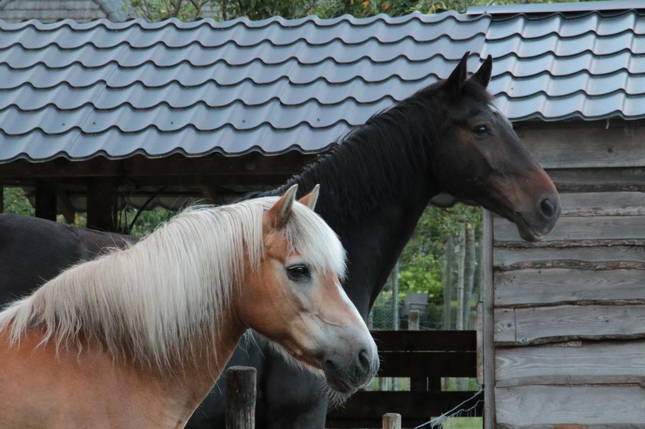 Hoeve Op Vollenhof Wezep エクステリア 写真