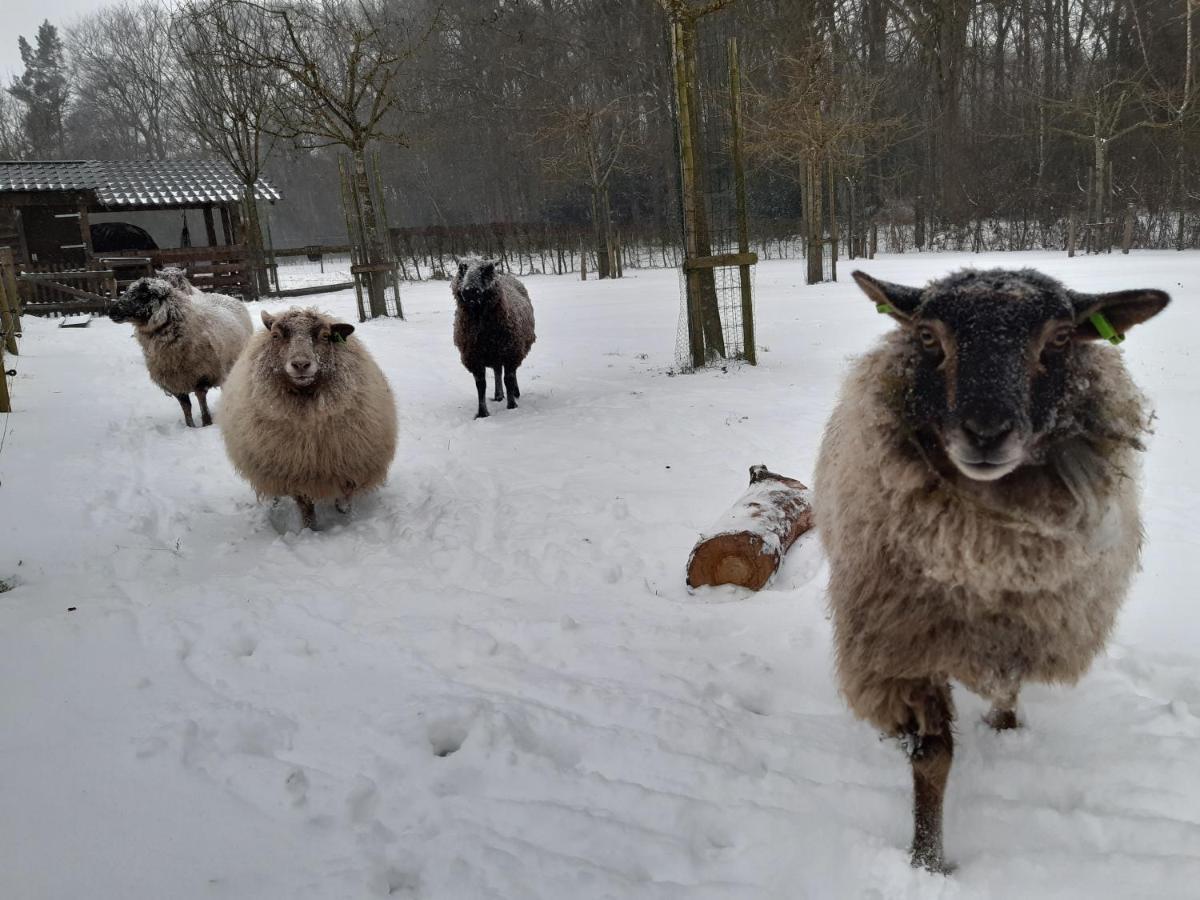 Hoeve Op Vollenhof Wezep エクステリア 写真